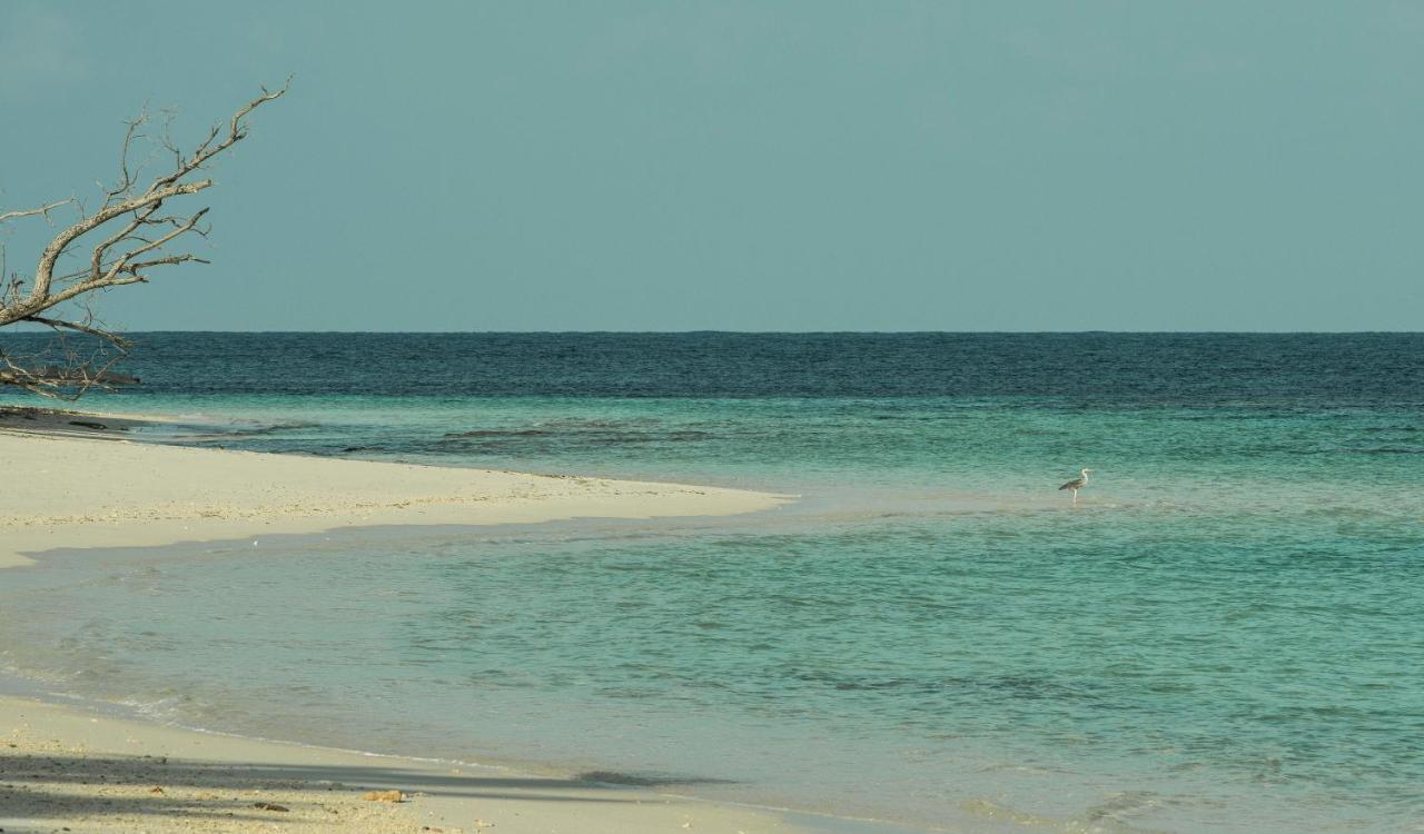 Four Seasons Resort Seychelles At Desroches Island Exterior photo